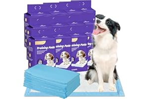 Nanipets® Trainingspad für Hunde Welpenunterlagen, Superabsorbierendes & Auslaufsichere Wickelunterlagen, 60 x 90 cm Extra Große, Dicke Pet Pads, 240 Stück