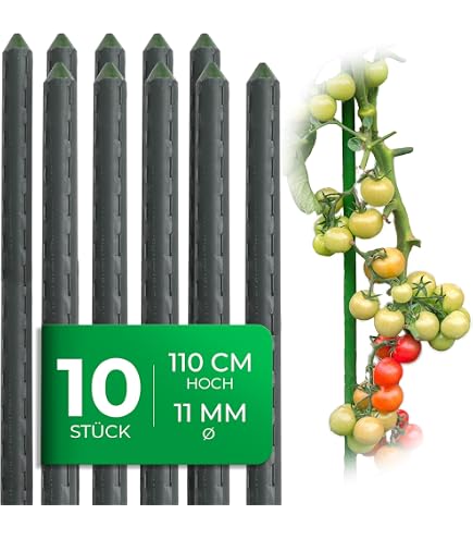 Pflanzstab 180cm Pflanz-Stab Rankhilfe Tomatenstab Pflanzstbe Tomatenstbe  (100) : Amazon.de: Garten
