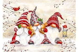 QENSPE 5D Diamond Painting Gnomi Natalizi, Kit per Diamond Art Adulti, Babbo Natale Pittura Diamante Painting Kits Completo per Bambini e Principianti, DIY Decorazione Casa Pareti 30x40cm