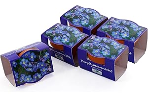 Bull & Bear 5er Set Minipflanzset Vergissmeinnicht, Blumensamen im Topf 40mm, Mini Blumen als Anzuchtset mit Pflegeanleitung