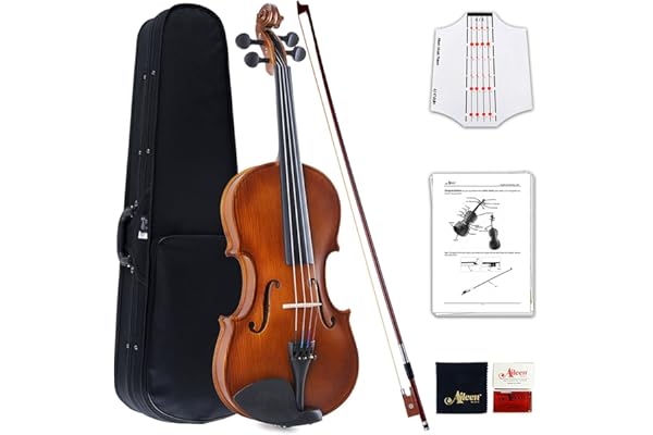 Aileen Violon 4/4 Débutant, Violon Adulte avec Autocollant des Frets, Mode d’emploi, Étui, Archet, Colophane, Chevalet et Tissu de Nettoyage
