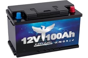 ‎ELFHUB 12V 100Ah MINI LiFePO4 Batterie, 100A BMS, 4000-15000 Zyklen Deep Cycle Lithium Akku, MAX 1280W Leistung, Perfekter Ersatz für Blei-Säure Batterien für Wohnwagen, Camping, Solar Home Systeme, Boote