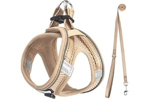 UVTQSSP Hundegeschirr Kleine Hunde mit Leine Gepolstert, Welpengeschirr, Dog Harness Hunde Geschirr Klein, Khakifarbe XXS
