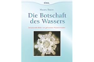 Die Botschaft des Wassers: Sensationelle Bilder von gefrorenen Wasserkristallen