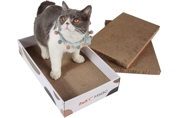 willows scratch box