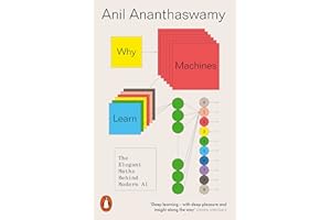 Why Machines Learn: The Elegant Maths Behind Modern AI