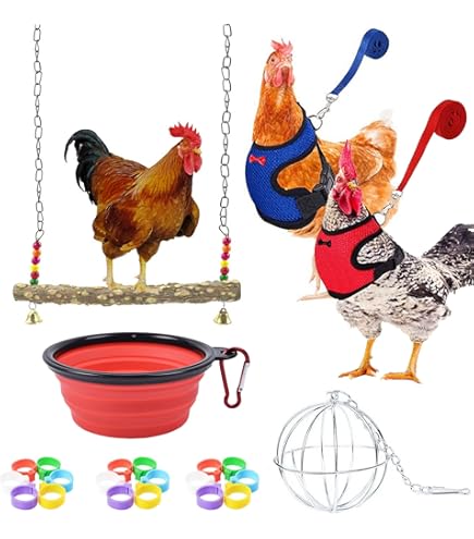 Jouet à Picorer Pour Poules - Lot De 2, Distributeur De Friandises à Libération Lente, Anti-ennui, 52 Cm