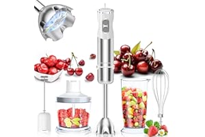 HOUSIWILL Stabmixer 1000 W, Pürierstab Set 5 in 1, Edelstahl Stabmixer mit 12 Geschwindigkeiten & Turbotaste, 5 Zubehörteilen für die Zubereitung von Babynahrung, Salaten, Suppen, Smoothies und Teig