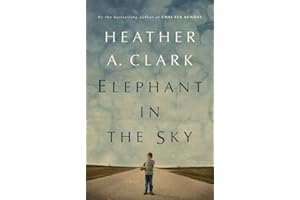 Elephant in the Sky: A Novel