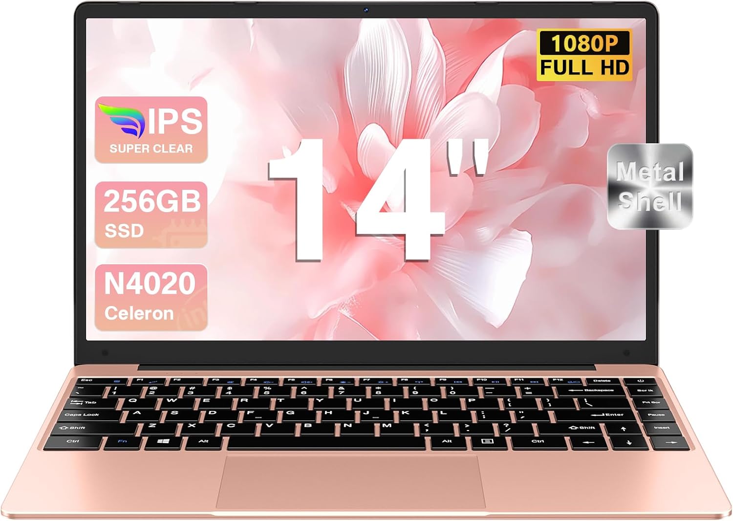 Vue 12