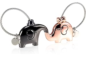 Foonii 1 par Parejas Llaveros, magnética Desmontable Auto Llaveros, para Parejas Mujer Hombre (Negra + Oro Rosa)