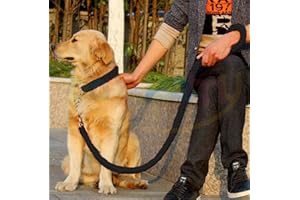 BESER LEE Leash Collar Set Heavy Duty Dog, Adjustable Martingale Braided Dog Collar, Strong Metal Pull Clip Loop Slip Anti -Twist Pet Walking Training Lead, Solid Hand Crafted Rope for Medium Large Breeds