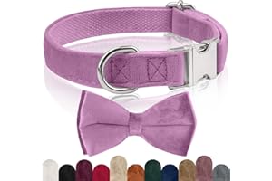 KTWSUEF Collare Cane Vellutato, con Papillon Cane Staccabile, Comodo Regolabile Collare Per Cani Vellutato, Per Cani di Taglia Piccola Media Grande, Matrimonio, Compleanno, Vacanze, ecc