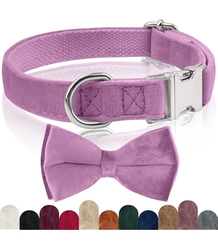 Unique Style Paws Hundehalsband Aus Seide – Verstellbar, Mit Schleife, Für Kleine Hunde & Katzen