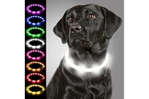 Joytale Świecąca obroża dla psa, ładowana przez USB, świecąca, dla dużych, średnich, małych psów i szczeniaków, obroża LED z 3 trybami bezpieczeństwa, biała