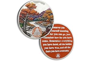 ATSKNSK Autumn 11 Month Sobriety Chip Eleven Month Sobriety Coins AA Chips and Medallion Serenity Prayer Coin Recovery Anniversary Token Sobriety Gifts for Men Women Alcoholics Anonymous Gift