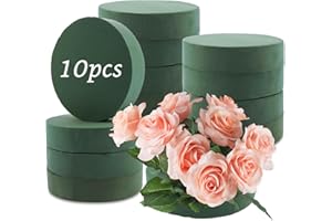 DAJAVE 10 pezzi Spugna per Fiori, Spugna per Fiori Rotonda 20 X4 cm, Pasta per fiori rotonda, Blocco Spugna Floreale Rotondi, Cilindro Spugna Floreali per fiori freschi, matrimoni, compleanni