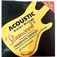 Stanwood Phosphor Bronze Acoustic Guitar Strings set of 6 Strings, Bright Crunchy Sound.