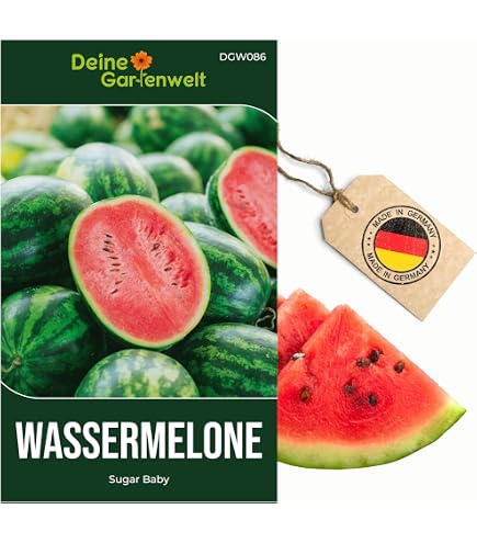 echter Reis Samen, Oryza sativa ssp. japonica, jetzt Reis selbst aussen  (100 Samen) : Amazon.de: Garten