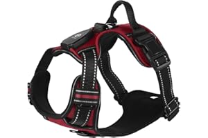 EYELEAF Lumineux Harnais Chien - Rechargeable Harnais Chien Anti Traction Harnais pour Chien avec LED à Changement de 3 Couleurs, Réfléchissant avec Attache Devant Harnais, Solide