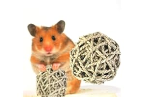 Joyivike 2 Pièces Balle Naturelle Lapin, Jouets À Mâcher pour Petits Animaux - Boule Hamster Lapin, Rotin Décoratives, Jouet À Mâcher pour Cochon d'InEt Lapin