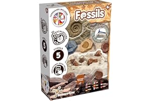 Science4you Kit per Lo Scavo Dei Fossili per Bambini – Imparate a Conoscere e la Paleontologia con questo Kit di Scavo, Scoprite Gli Incredibili Fossili, Regalo Paleontologico per Bambini 6 7 8+ Anni