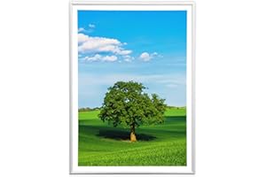 SICIGNANO CASALINGHI INGROSSO CASALINGHI ARREDO GIARDINO HOTELLERIE Sicignano | Cornice Bombata Moderna 35x50 cm in Legno Bianco con Pannello MDF Robusto Vetro Crilex - Portafoto da Parete Orizzontale Verticale, per Foto Quadri Poster Documenti Diploma Laurea