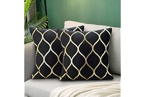 Hanrunsi Fodera per Cuscino Nero E Oro 45x45 Set di 2 Federe In Velluto Quadrato Decorativo Morbido Geometrico per divano Sedia Balcone con Cerniera Invisibile