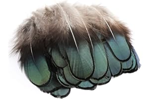 MWOOT 50pcs Plumas de Faisán, Naturales Plumas 4cm-7.5cm Fiesta Decoraciones Plumas Suaves y esponjosos para DIY Manualidades tocados
