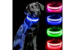 PcEoTllar Collier Lumineux Chien, Collier LED Chien Rechargeable, Collier Chien Fluorescent Etanche avec 3 Modes, Collier Chien avec Lumiere Réglable pour Petits/Moyens/Grands Chiens, Bleu-L