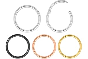 365 Sleepers 2 piezas de acero inoxidable 20G unisex con bisagras segmento de aro labio nariz anillo tragus tabique hélice durmiente pendientes 6 mm - 10 mm