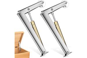 DOLENOR 200N 2PCS Box Hinges Soft Close, Soft Close Hinges for Toy Box, Soft Close Cabinet Hinges and Slow Closing Lid Support Hinge (2, More Large)