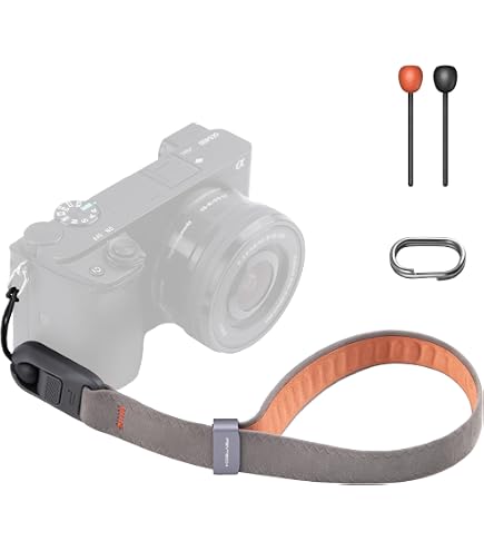 2 Batterie DMW-BLH7E + Caricatore Doppio USB – Compatibile Con Lumix DMC-GM1, GF7, GF8, LX10, GX800 E Altri