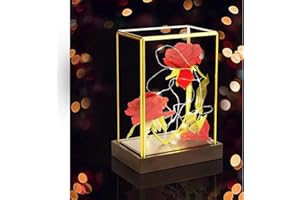 Santentre Eternal Rose,Preserved Rose Valentines Gifts for Her,Glass Rose, Red Rose Birthday Gifts for Women,Her, Mum,Girlfriend,Wife