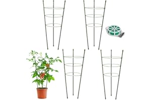MQHUAYU 4 Stück Rankhilfe, 45 cm Tomaten Rankhilfe, Einstellbar Gurken Rankhilfe für Tomate, Salatgurken, Spalier, Kletterpflanze, Blume