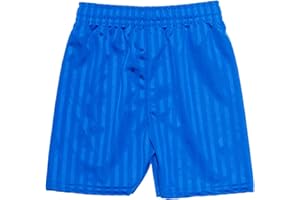 ONLYGLOBAL ND Sports School Shadow Stripe PE Shorts