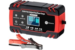 Husgw Chargeur Batterie Voitures 12V/24V 8A, Chargeur de Batterie Intelligent Moto avec Fonction Réparation, Maintien de Charge Auto, Écran LCD, pour Voiture Moto Camion, AGM, Gel, Wet, SLA (8-100 AH)