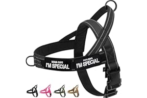 Eeyfarog No Pull Hundegeschirr für kleine mittelgroße Hunde, reflektierend ausbruchsicher verstellbar ohne Zug, Hundegeschirr (Schwarz, XL)