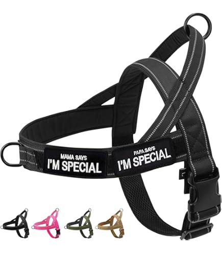 Pettorina Anti-Tiro Per Cani | Taglia L | Doppio Gancio | Regolabile - Foto 9