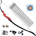D&Q Ambidextrous Recurve Bow and Arrow 40Lbs Archery Set for Adult Junior Beginner Teenager Youth Outdoor Training Target Practice Takedown Bow Kit with Arrows Left Right Handed