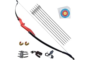 D&Q Ambidextrous Recurve Bow and Arrow 30 lb 40 lb Archery Set for Adult Junior Beginner Teenager Youth Outdoor Training Target Practice Takedown Bow Kit with Arrows Left Right Handed