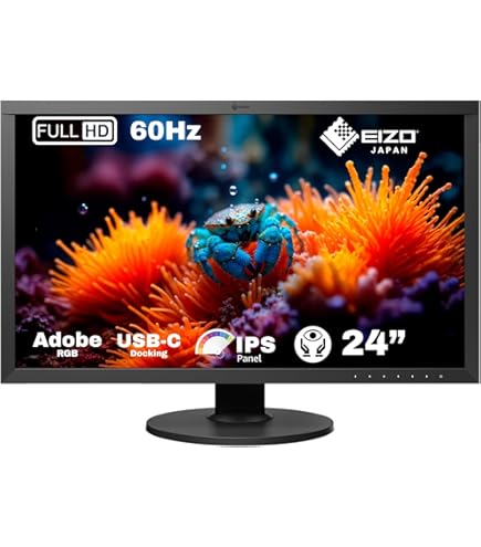 EIZO CS2420-BK UXGA Wide LCD Monitor 24.1