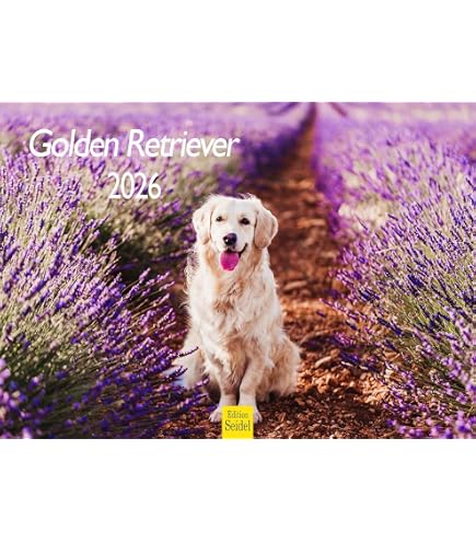 Hundezauber Retriever Kalender 2026 – DIN A5 Wand Produktbild-Vorschau 2