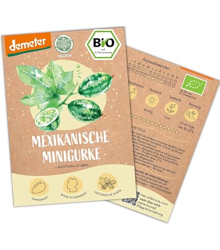 knstliche fingerngel mit klebepads Klebepads aus Silikon Katya Vinog fr Wimpernverlngerungen   Wiederverwendbar und formbar  Cilio Lash Expert