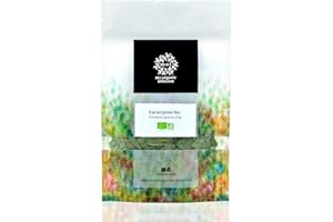 MY ORGANIC INFUSION - Eucalyptus Bio en Feuilles Coupées - Pour Tisanes et Infusions - Pour Recettes Maisons - Sélection De Premier Choix - Eucalyptus globulus - 50 g