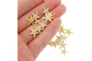 JULIE WANG 20 Pieces Tiny Natural Starfish Sea Star Micro Landscape Beach Wedding Party Decoration Nautical Ornament Shells Craft DIY Vase Filler Small Tiny Size 0.5cm -1.5cm