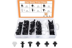 FOZUANEI 100 Pcs Car Fixing Clips Set, Car Plastic Mounting Set, Rivets Fasteners Push Retainer, Bumper Mounting Clips, Fixed Clips Fasteners Tools, Universal Car Fixing Clips (6 Types)
