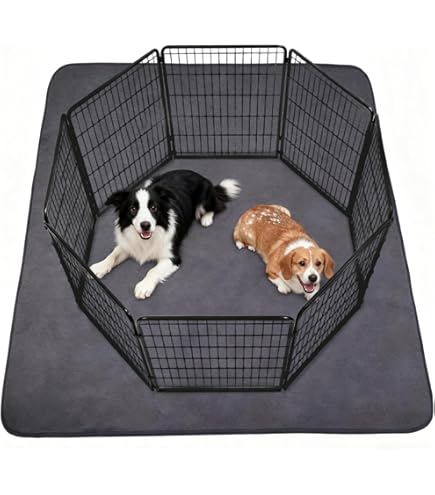 IEUUMLER Puppymatten, 2 stuks, wasbaar, voor honden, herbruikbaar en snel absorberend, pipi-matten, trainingsmatten voor box, autostoel, bank, FC013, groene madeliefjes, 60 x 60 cm, 2 stuks