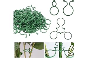 FALSKT 250 Piezas Pinzas para Plantas, Plant Clips de Plástico, Pinza de Sujeción para Plantas, Clips para Tomates para Sujetar Plantas, para Jardinería, Flores, Verduras, Plantas Trepadoras, Verde