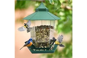 Hongyans Mangeoire à Oiseaux Exterieur Mangeoire Oiseaux Suspendue Grande Capacité Distributeur Graines Oiseaux Maison Oiseaux Exterieur pour Jardin Balcon